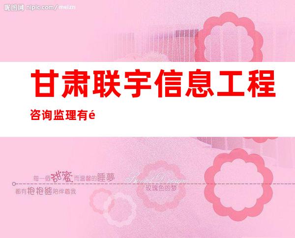 甘肃联宇信息工程咨询监理有限公司